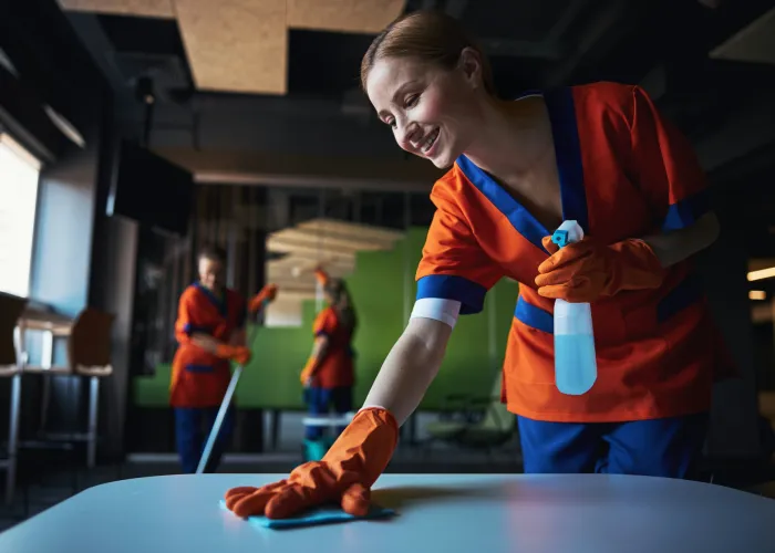 Cleanhouse Team Kft. - Rólunk