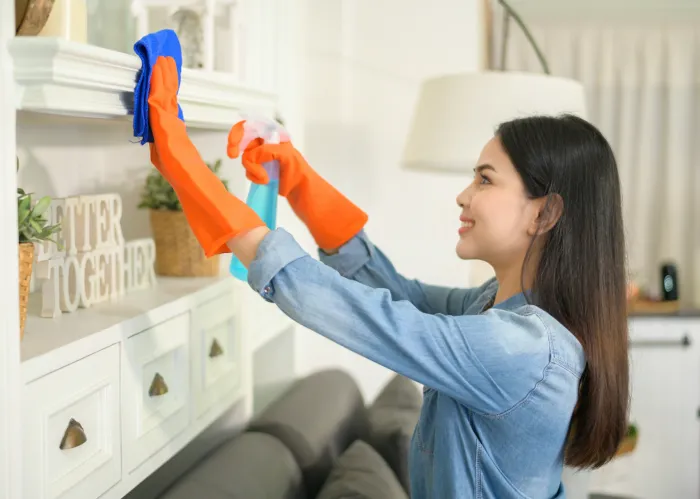 Rendszeres vagy eseti - Cleanhouse Team Kft.